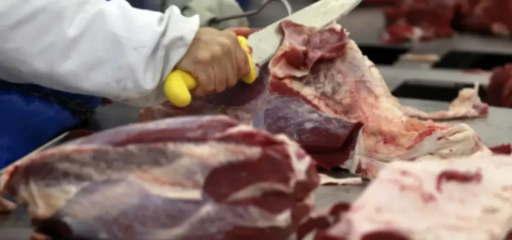 Exportações de carne bovina do Brasil caem 27% em agosto