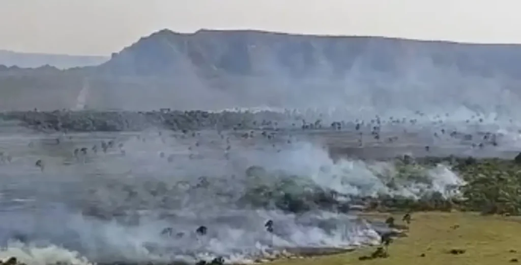 Bombeiros combatem incêndios em três regiões de Goiás