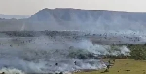 Bombeiros combatem incêndios em três regiões de Goiás