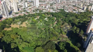 Goiânia