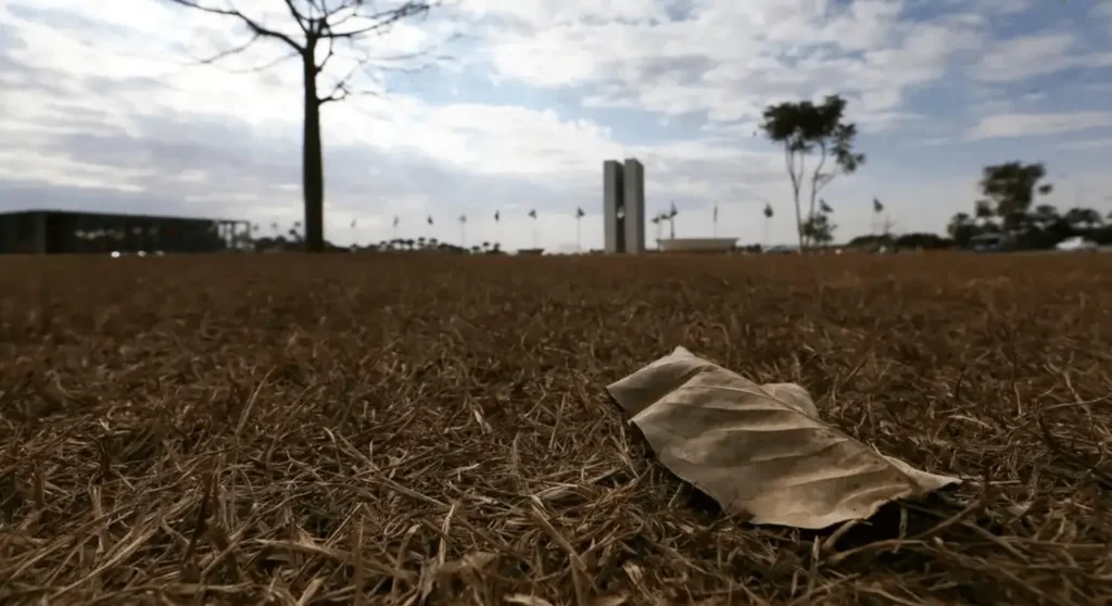 Aquecimento acima de 1,5°C pode ampliar riscos para saúde, agricultura e economia