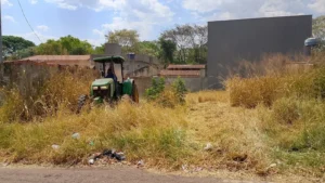 Mato alto no lote? Prefeitura faz a limpeza e envia a conta ao dono em Goiânia