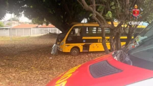 Ônibus escolar com 27 crianças bate contra árvore em Sobradinho (DF)