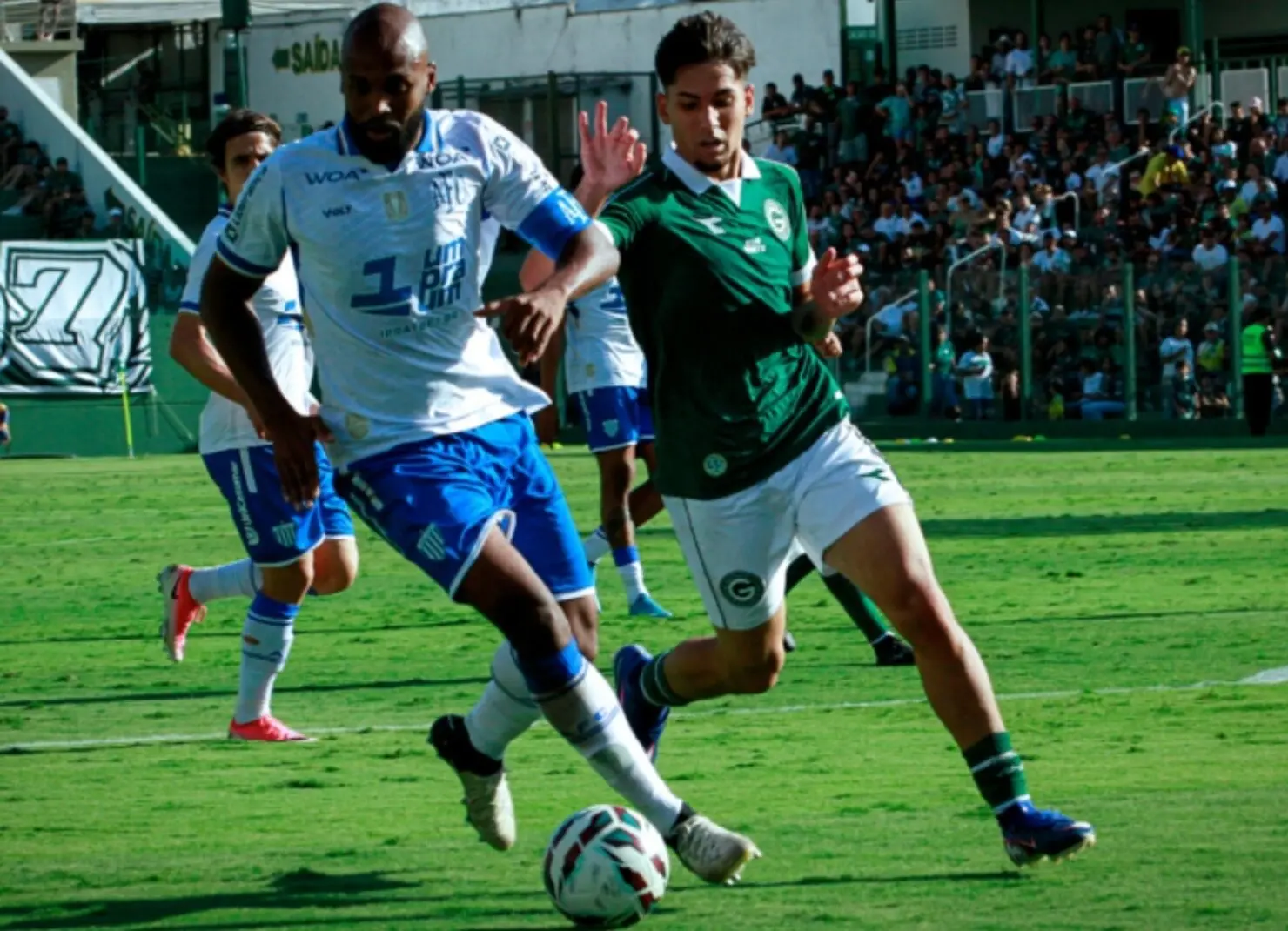 goiás