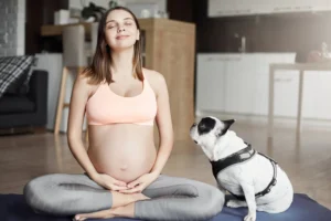 Seu pet sabe que você está grávida? Entenda o que cães e gatos percebem