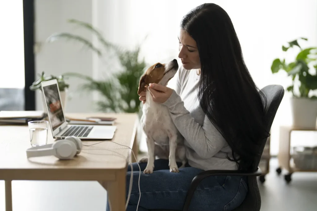 Seu cachorro entende quando você está triste? Estudo revela como cães leem rostos