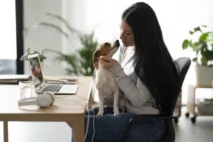 Seu cachorro entende quando você está triste? Estudo revela como cães leem rostos