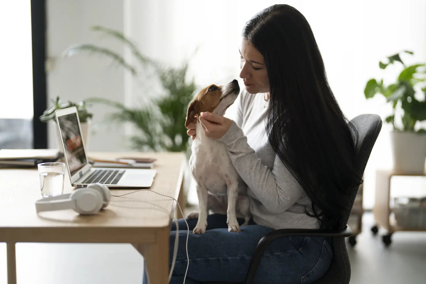 Seu cachorro entende quando você está triste? Estudo revela como cães leem rostos