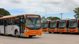 rodoviários