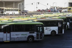rodoviários