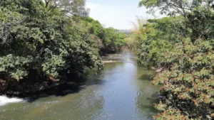 Rio Meia Ponte, em Goiânia, entra em nível crítico, mas não há previsão de racionamento