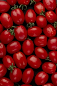 Saiba qual é a cidade de Goiás que se tornou a maior produtora de tomate do Brasil