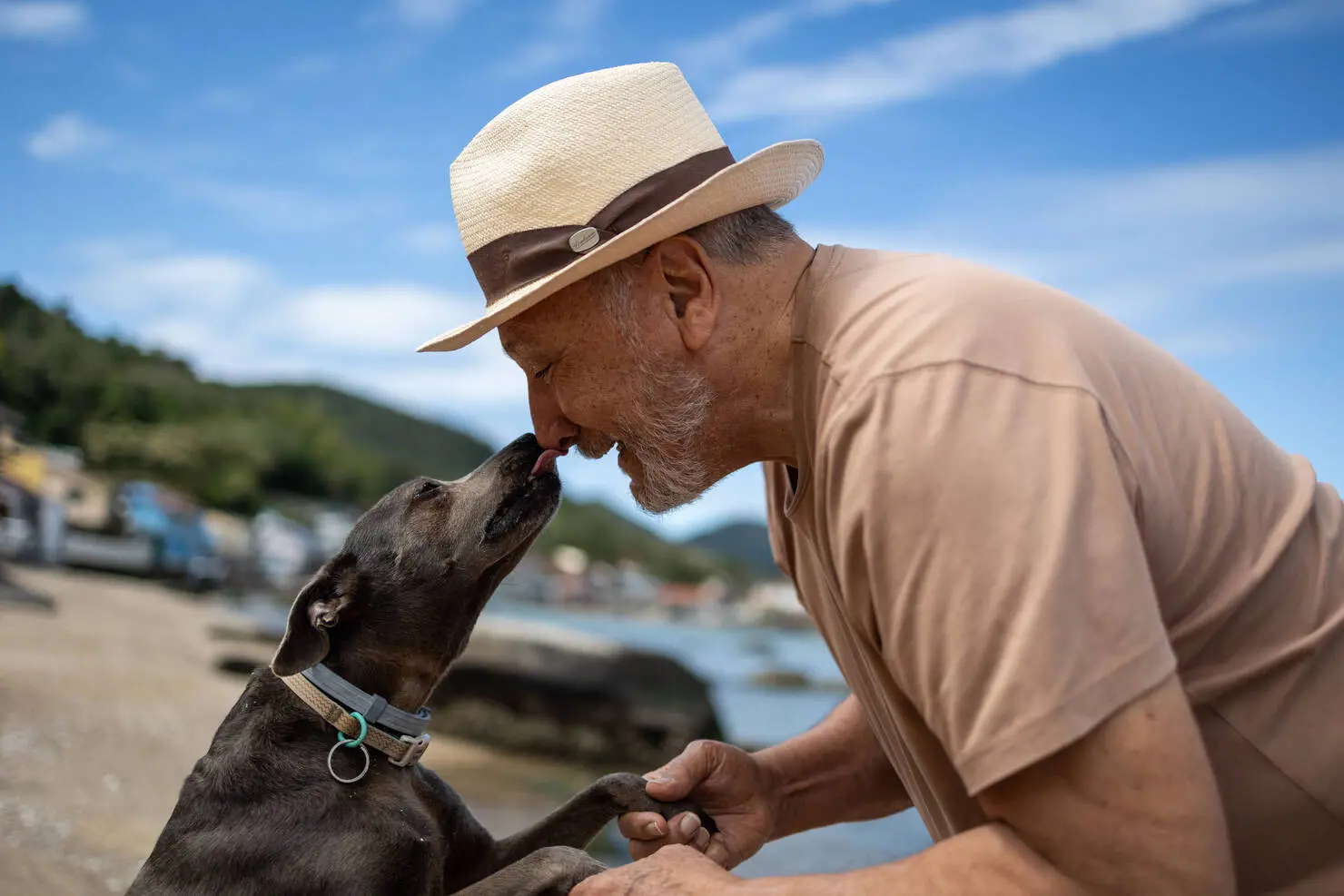 Pets podem tornar a rotina dos idosos mais ativa; veja os cuidados antes de adotar