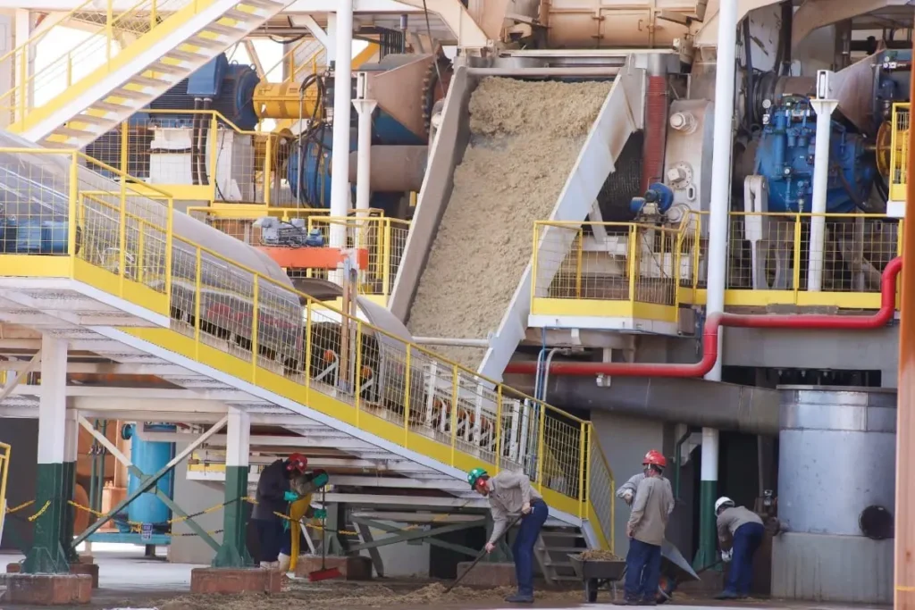 Agroindústria de Goiás encolhe 6,6% com gargalos logísticos e de crédito