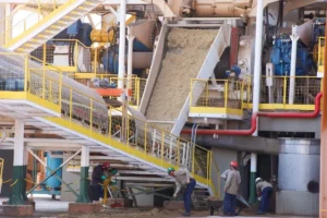 Agroindústria de Goiás encolhe 6,6% com gargalos logísticos e de crédito