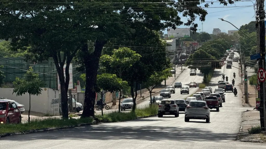 avenida t9