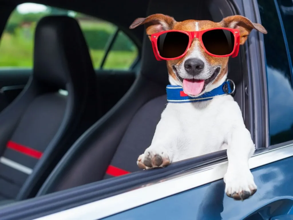 Carros novos podem ganhar alerta para crianças e pets esquecidos