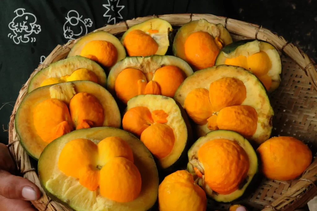 Crixás recebe título de Capital Goiana do Pequi; cidade celebra o fruto desde 2006