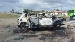 Homem morre após carro capotar e pegar fogo na BR-050, em Ipameri