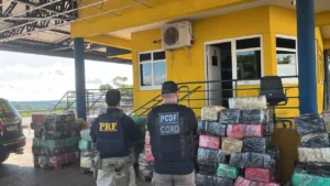 PRF apreende 3,5 toneladas de skunk em caminhão na BR-153, em Morrinhos
