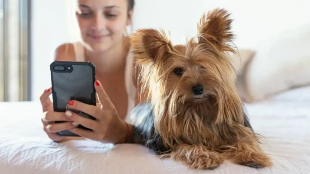 IA já influencia cuidados com pets, mas veterinários seguem como fonte mais confiável