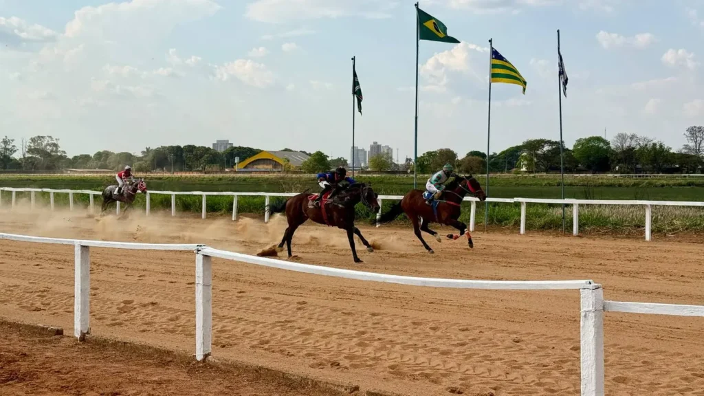 Hipódromo da Lagoinha terá programação especial de corridas de cavalos no aniversário de Goiânia