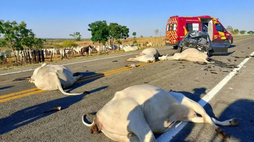 Motorista fica ferido após bater carro contra cinco bovinos em rodovia de Goiás