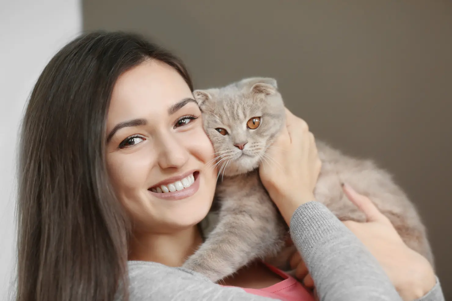 Alimentação para gatos ganha espaço no mercado pet; cães ainda lideram