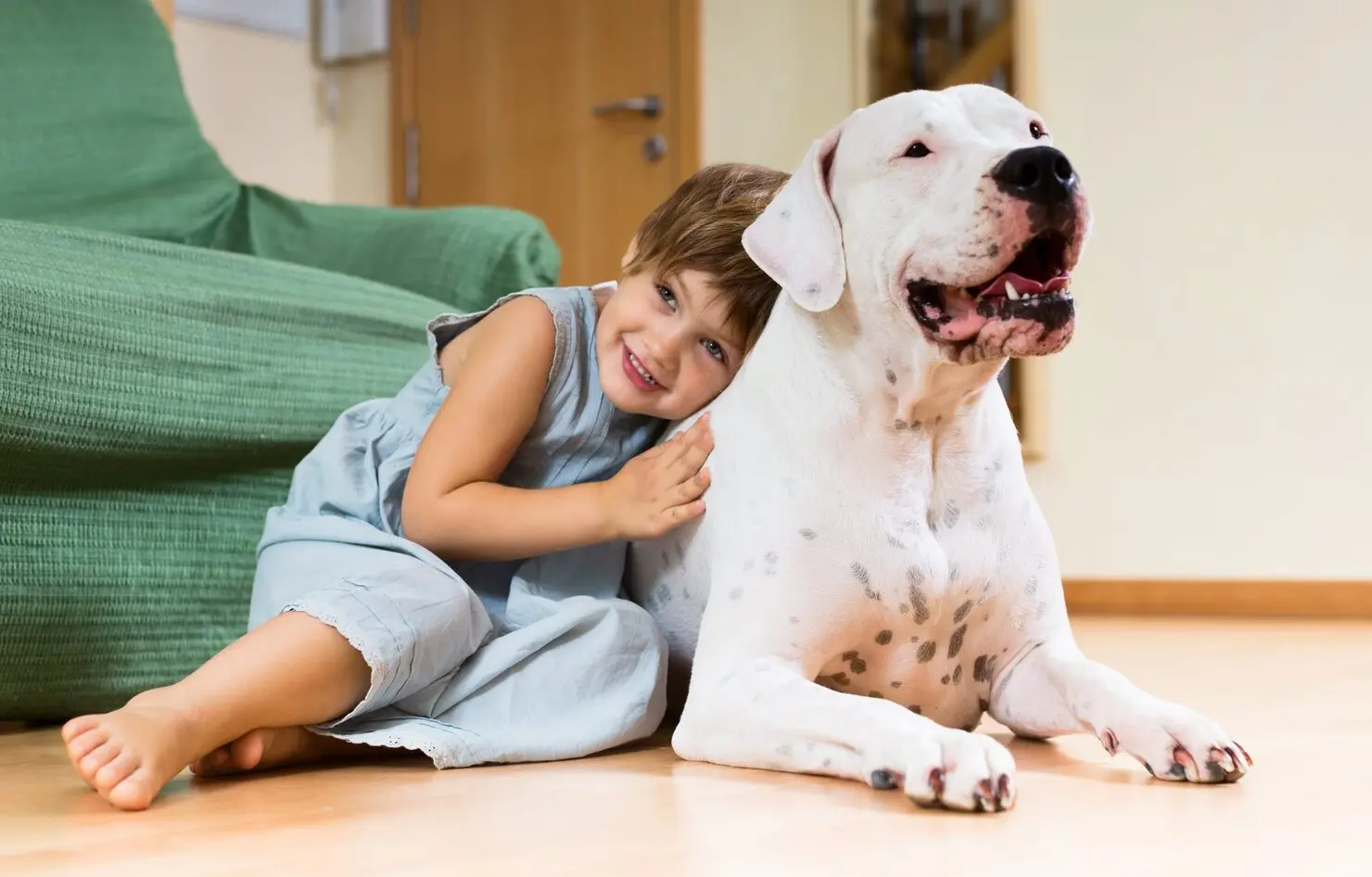 O que as crianças podem aprender convivendo com pets?