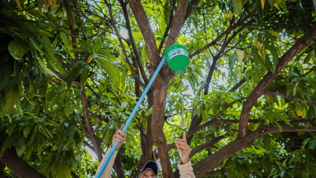 Goiás registra alta de dengue e chikungunya e reforça combate ao mosquito