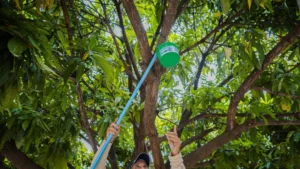 Goiás registra alta de dengue e chikungunya e reforça combate ao mosquito