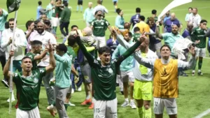 Palmeiras vence Fluminense nos pênaltis e vai à final da Libertadores