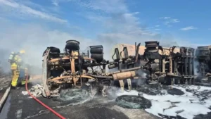 Caminhão com carga de diesel tomba e é destruído por incêndio na BR-020, em Goiás