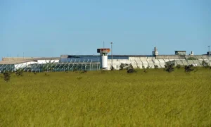 DF tem sétima saída temporária do ano com 1.479 presos beneficiados
